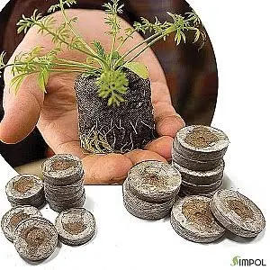 지피7 (10개) - 지피펠렛,지피펠릿,지피7,압축배양토,압축상토,압축펠렛,압축피트모스,압축펠릿,지피삽목,jiffy7 - 식물영양제 비료 살충제 살균제 곰팡이 벌레 응애 깍지 배양토 분갈이흙 삽 가드닝 분갈이 화분 식물 키우기