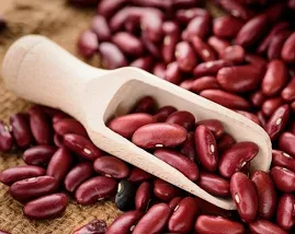 Organic Dark Red Kidney Bean 480g/1 Pound/17 Oz./food Grade/new