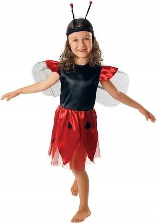 kraszek Strój Biedronka