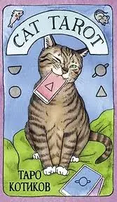 Cat Tarot. Таро Котиков. 78 карт и руководство в подарочном футляре