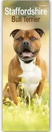 Staffordshire bull terrier slim calendar 2024 dog breed slimline calendar - 12 month