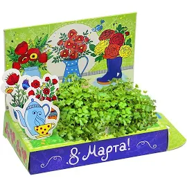 Набор для выращивания Happy Plant Живая открытка Маки