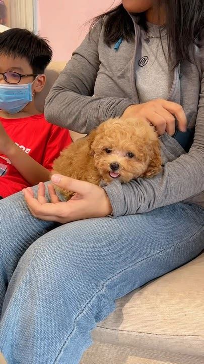 Matpet: Matbet, en talepkar oyunculara bile hitap edecek