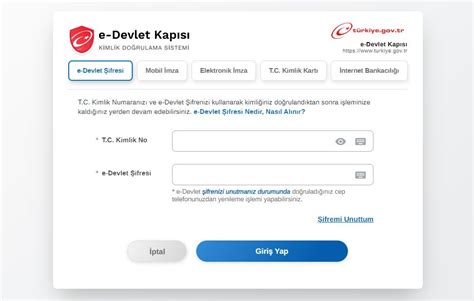 E devlet giriş: E-Devlet Kapıs ı Şifre Verme İşlemleri Sunulan