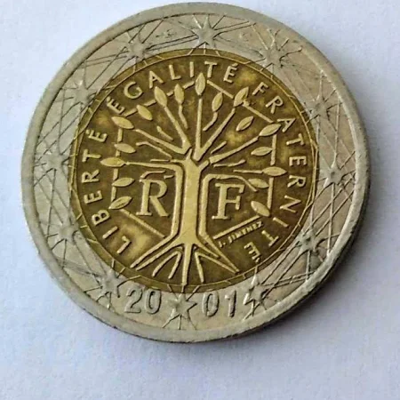 2 Euro Madeni Para 2001 Yılı (Resimdeki Ürün Gönderilecektir) (78)