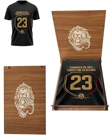 Galatasaray Lisansli 2023 sampiyonluk Hediye Aslan Ahsap Kutulu cocuk T-Shirt 3-4 Yas Beden