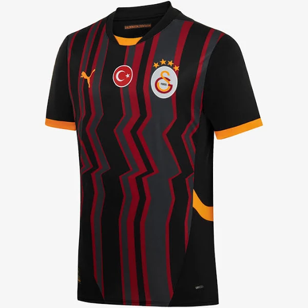 Puma Galatasaray 2024-25 Alernatif Erkek