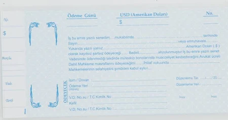 Dilman Euro Senet Koçanı 100 Lü
