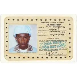 Tyler The CREATOR: Call Me If You get Lost CD. CDs. 0194399166321.