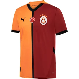 Puma Galatasaray S.k. 24/25 Erkek Iç Saha Forması - 3XL - Renkli