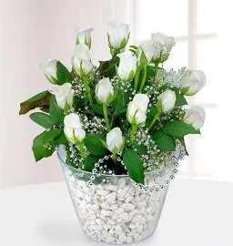 İhtişamlı Aşk Beyaz Güller