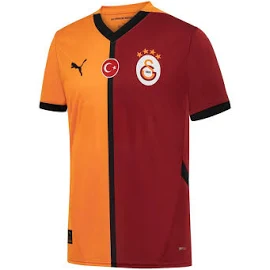 Puma Galatasaray 2024/2025 Erkek Futbol Ic Saha Formasi Parcali