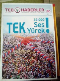 Teb Haberler Dergisi / 2008/06