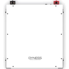 Акумуляторна батарея Dyness A48100 LiFePo4 48V 100Ah 5kW