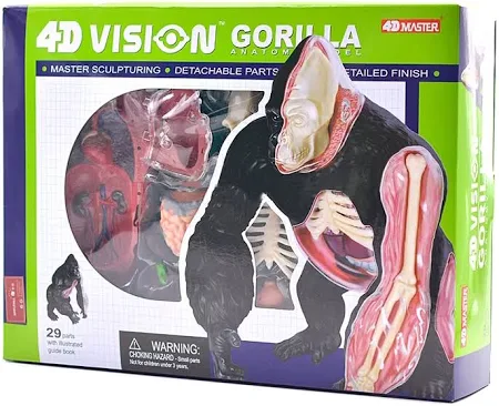 4D Master Об'ємна модель Горила