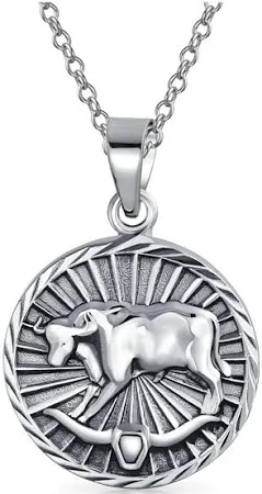 Bling Jewelry Zodiac Sign Round Medallion Pendant Necklace Sterling