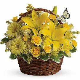 Teleflora Basket Full of Wishes by 80Florals.com