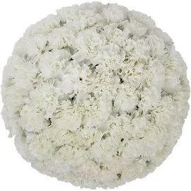 Member's Mark Carnations, White (50 Stems)