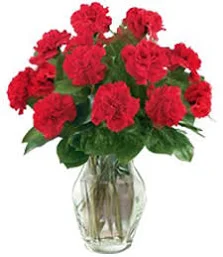 Flower Delivery Lexington | Vibrant Red Carnations | Flower Shops