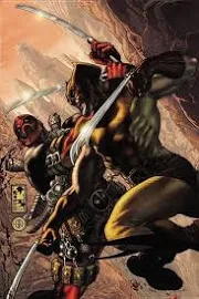 Wolverine Vs. Deadpool [Book]