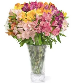 Flower Delivery Dayton | Alstroemeria Flower Bouquet | Flower Shops