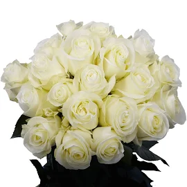 Next Day Delivery White Roses 50 Flowers