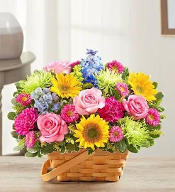Sunny Garden Basket Large | 1-800-Flowers Plants Delivery