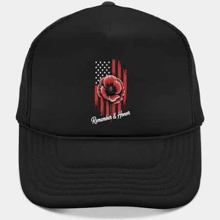 USA Veterans Day 2025 Hat