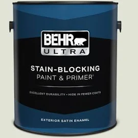 1 gal. Home Decorators Collection #HDC-NT-24 Glacier Valley Satin Enamel Exterior Paint & Primer