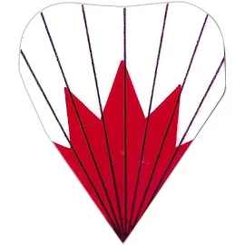 Colonial Rays Dart Flights - Heart