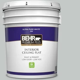 5 gal. #N450-2 Zero Gravity Ceiling Flat Interior Paint