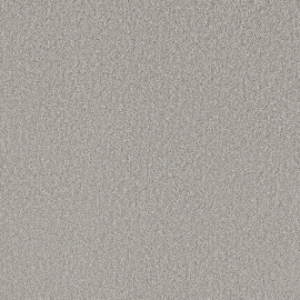 Home Decorators Collection 8 in. x 8 in. Texture Carpet Sample - Soft Breath Plus II -Color Wilshire