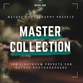 Master Collection Bundle 190 Lightroom Presets