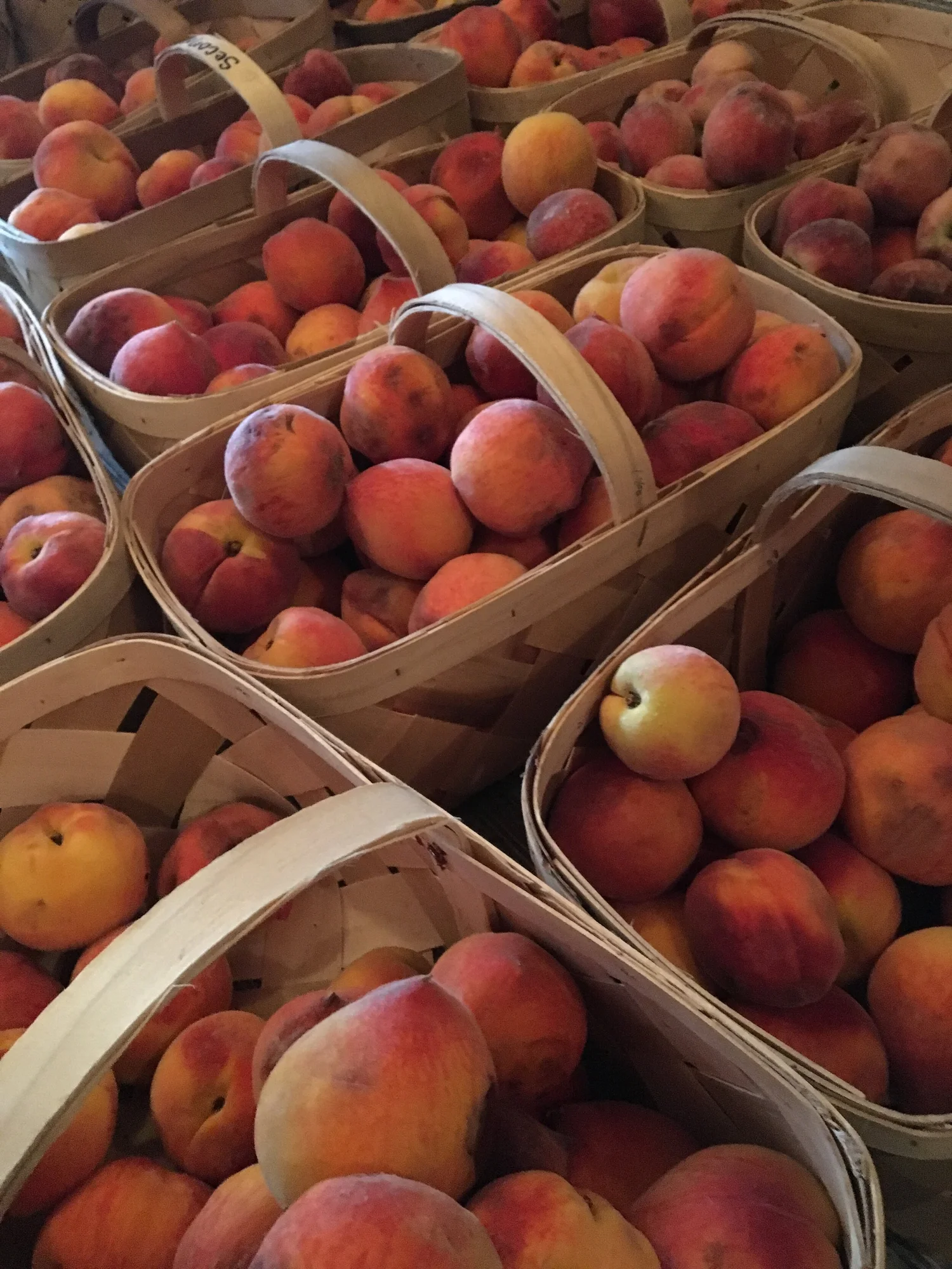 Spring Produce Box — Taylor's Produce