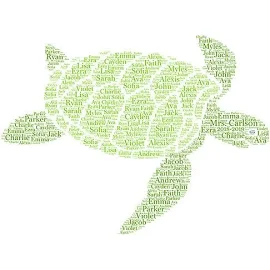 Digital TURTLE word cloud art wordle makes a great teacher appreciation classroom gift - add names & school year - customize colors