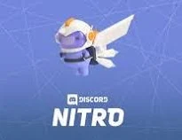 Discord Nitro - 1 Month Trial Subscription (ONLY FOR NEW ACCOUNTS)