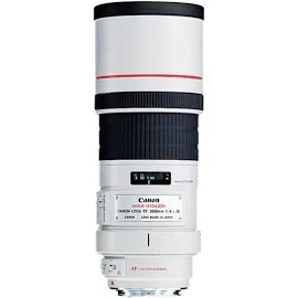 Canon EF 300mm f/4L Is USM Telephoto Lens
