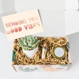 Sending Good Vibes Gift Box - CARE PACKAGE - Cheer Up Gift - Thinking of you gift box - Thinking of you gift box - Custom care package