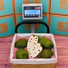 Fresh Soursop | Guanabana - Order Your Fresh Soursop Today Online Large Box (10 Pounds)