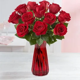 One Dozen Red Roses with Red Vase by 1-800 Flowers
