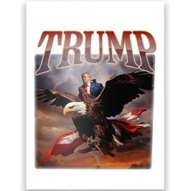 Donald Trump Eagle Usa President 2024 Poster