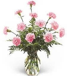 Flower Delivery New York | Lovely Pink Carnations | Flower Shops