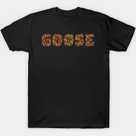 rachelbriane@gmail.com Goose Band T-Shirt