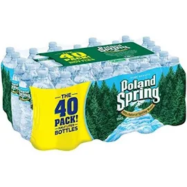 Poland Spring 100% Natural Spring Water, 16.9 fl oz, 40 Count Bottles